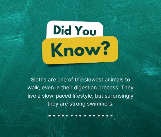 New Financial Planning Services Available